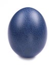 Dark blue easter egg Royalty Free Stock Photo