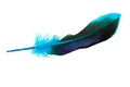 Dark blue feather isolated on the white background Royalty Free Stock Photo