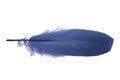 Dark Blue fluffy feather isolated on the white Royalty Free Stock Photo