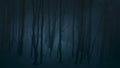 Dark blue forest. Scary image. Naked trees