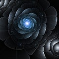 Dark blue fractal flower Royalty Free Stock Photo