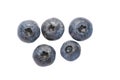 Dark blue garden blueberry berries, isolated on white background, close-up, healthy vegan food