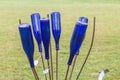 Blue Glass Bottle Tree Lawn Art Royalty Free Stock Photo