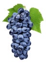 dark blue grape berry bunch isolated on white background Royalty Free Stock Photo