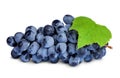 dark blue grape berry bunch isolated on white background Royalty Free Stock Photo