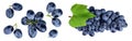 dark blue grape berry isolated on white background. Top view. Flat lay Royalty Free Stock Photo