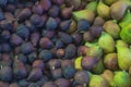 Dark blue and green figs in the market as a background