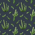 Dark blue and green Saguaro Carnegia cactuses watercolor seamless pattern. Mexican and American plants