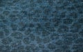 Dark blue jeans leopard pattern texture close up Royalty Free Stock Photo