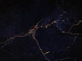 Dark blue marble luxury wall texture with gold veins pattern abstract background Royalty Free Stock Photo