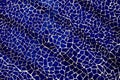 Dark blue mosaics Royalty Free Stock Photo