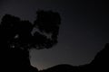 Dark Blue Night Sky Landscape with Silhouette of Hanging Tree over Mountains Royalty Free Stock Photo