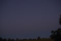 Dark blue night sky with tree silhouettes. Royalty Free Stock Photo