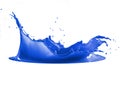 Dark blue paint splash isolated on white background Royalty Free Stock Photo