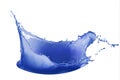 Dark blue paint splash isolated on white background Royalty Free Stock Photo