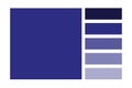 Dark blue palette. Deep gradient swatch. Vector rectangular tones. Elegant navy hues.