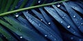 Dark Blue palm leaves and droplet Water dramatic photo effect background, realism, realistic, hyper realistic