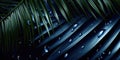 Dark Blue palm leaves and droplet Water dramatic photo effect background, realism, realistic, hyper realistic Royalty Free Stock Photo