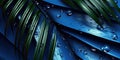 Dark Blue palm leaves and droplet Water dramatic photo effect background, realism, realistic, hyper realistic Royalty Free Stock Photo
