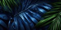 Dark Blue palm leaves and droplet Water dramatic photo effect background, realism, realistic, hyper realistic