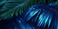 Dark blue palm leaves and droplet water background Royalty Free Stock Photo