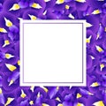 Dark Blue Purple Iris Flower Banner Card. Vector Illustration Royalty Free Stock Photo