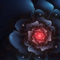 Dark blue and red fractal flower Royalty Free Stock Photo