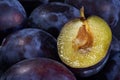 Dark blue ripe fleshy plums Royalty Free Stock Photo