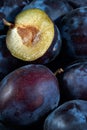 Dark blue ripe fleshy plums