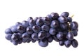 Dark blue ripe grapes Royalty Free Stock Photo