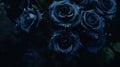 Dark Blue Roses: Gothic, Moody, And Poetic Floral Aesthetics