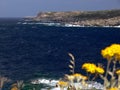 Dark blue sea with rocky coast and yellow flowers in the foreground