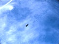 Dark blue sky with clean white clouds and bird silhouette, perfect for website banners, and background.