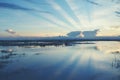 Dark blue sky over the marsh at sunset Royalty Free Stock Photo