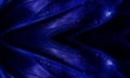 Dark blue soft natural abtract background texture close up tracery