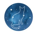 Dark blue starry sky with Cat Constellation. Symbol of good fortune, comfort, prosperity, warmth, purity and perfection.