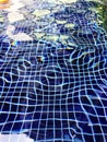 dark blue swimming pool water with tiles and palm tree shadow Royalty Free Stock Photo