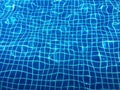 dark blue swimming pool water with tiles and palm tree shadow Royalty Free Stock Photo