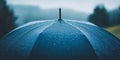 Dark blue umbrella covered in rain droplets with blurred trees and sky in the background Royalty Free Stock Photo