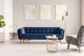 A dark blue velvet settee against a gray wall with modern paintings in an empty living room interior. Real photo.