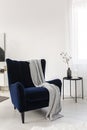 Dark blue velvet wing back chair with grey blanket in trendy living room Royalty Free Stock Photo