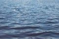 Dark blue water surface. Sheet of water. Water texture