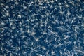 Dark blue a white background from frosty pattern at a frosted wi Royalty Free Stock Photo