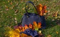 dark blue womens bag on a background of autumn foliage