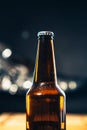 Dark bottle of beer on a blurred background