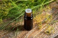 A bottle of dill seed oil with fresh blooming Anethum graveolens Royalty Free Stock Photo