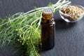 A dark bottle of fennel essential oil with fresh fennel