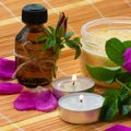Dark bottle with rose bud with dog roses flowers petals oil nearby two candles and jar of sea salt with rose Royalty Free Stock Photo