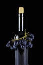 Dark bottle of wine with cork and bunch of grapes wrapped around bottleneck on black background