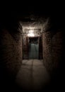 Dark brick hallway leading to a spooky wooden door.